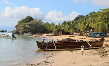 LIFE ON LEMUR ISLAND