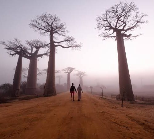 Baobab and Tsingy of Madagascar Adventure